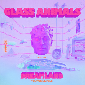 I Don't Wanna Talk (I Just Wanna Dance) - Glass Animals | Song Album Cover Artwork