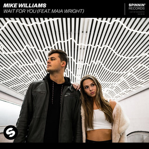 Wait For You (feat. Maia Wright) - Mike Williams
