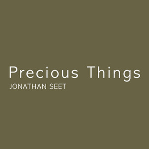 Precious Things Jonathan Seet | Album Cover