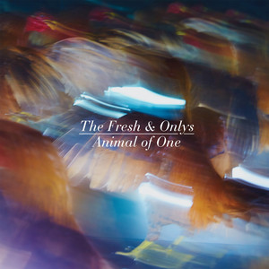 Animal of One The Fresh & Onlys | Album Cover