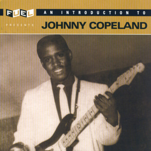 Working Man's Blues - Johnny Copeland