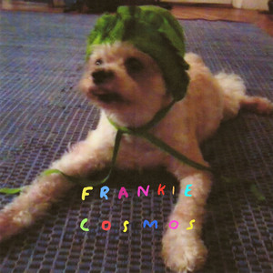 Art School - Frankie Cosmos