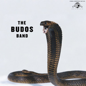 Black Venom - The Budos Band