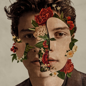 Nervous - Shawn Mendes | Song Album Cover Artwork