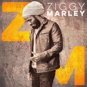 Start It Up - Ziggy Marley | Song Album Cover Artwork