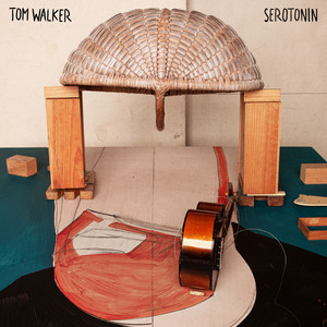 Serotonin - Tom Walker | Song Album Cover Artwork