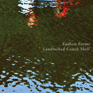 Landlocked Conch Shell - Alternate Version - Endless Forms | Song Album Cover Artwork