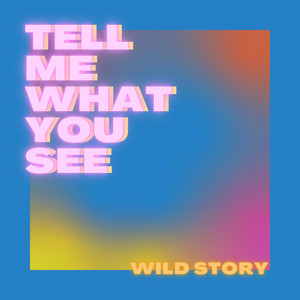 Tell Me What You See - Wild Story