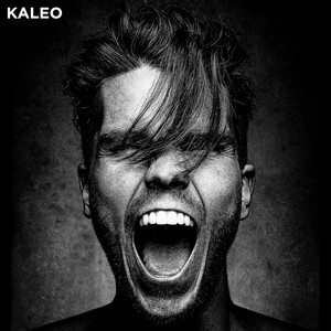 I Want More - KALEO | Song Album Cover Artwork