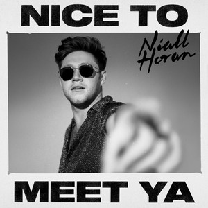 Nice To Meet Ya - Niall Horan | Song Album Cover Artwork