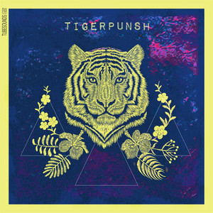 Kill The Flame - Tigerpunsh | Song Album Cover Artwork