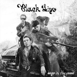 Boys In the Wood - The Black Lips | Song Album Cover Artwork