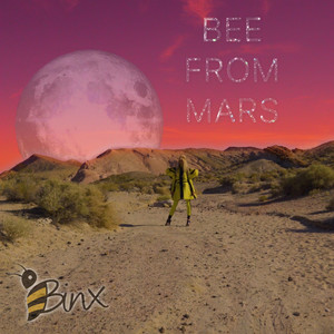 Shock Waves BINX | Album Cover