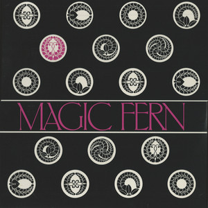 High Flyer - Magic Fern | Song Album Cover Artwork