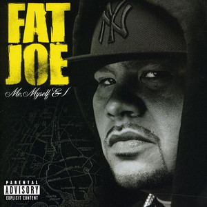 Make It Rain - Fat Joe | Song Album Cover Artwork