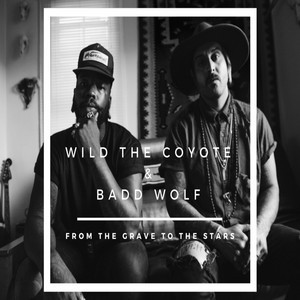 From the Grave to the Stars - Wild the Coyote | Song Album Cover Artwork