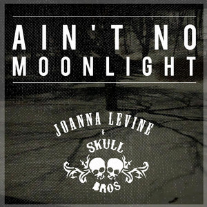 Ain't No Moonlight Joanna Levine | Album Cover