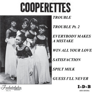 Guess I'll Never - Cooperettes | Song Album Cover Artwork