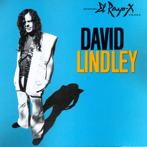 Mercury Blues - David Lindley | Song Album Cover Artwork