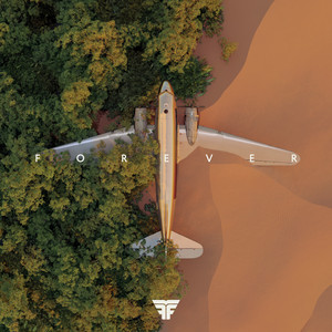 FOREVER (feat. BROODS) - Flight Facilities | Song Album Cover Artwork