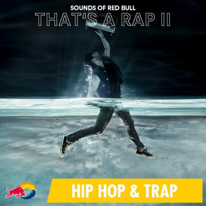 Flex Sounds of Red Bull | Album Cover