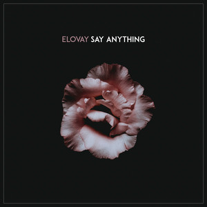 Say Anything - Elovay | Song Album Cover Artwork