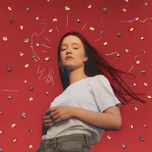 Don’t Feel Like Crying - Sigrid | Song Album Cover Artwork