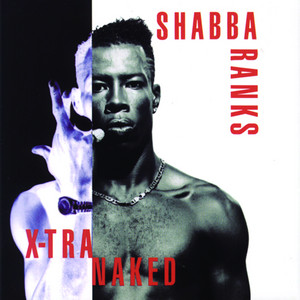 Ting-A-Ling - Shabba Ranks | Song Album Cover Artwork