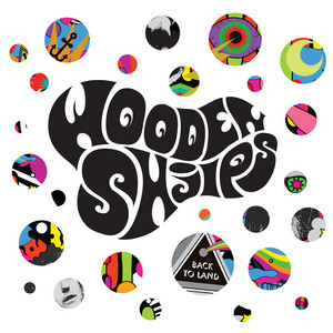 These Shadows Wooden Shjips | Album Cover
