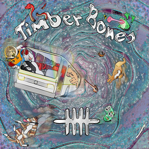 Travelling Song - Timber Bones | Song Album Cover Artwork