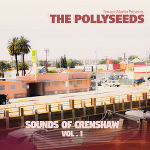 Mama D/Leimert Park Terrace Martin Presents The Pollyseeds | Album Cover