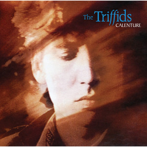Bury Me Deep in Love The Triffids | Album Cover