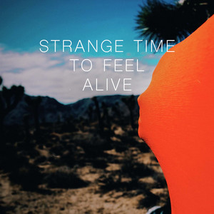 Strange Time To Feel Alive - TRVSTFALL | Song Album Cover Artwork