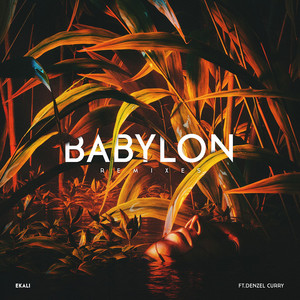Babylon (feat. Denzel Curry) - Skrillex & Ronny J Remix - Ekali | Song Album Cover Artwork