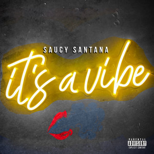 Shake What Ya Momma Gave Ya - Saucy Santana | Song Album Cover Artwork
