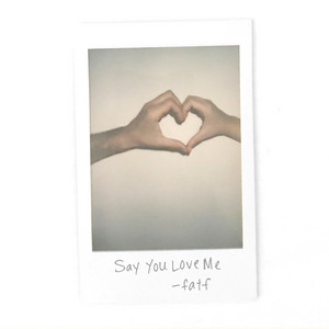 Say You Love Me - Friends At The Falls | Song Album Cover Artwork