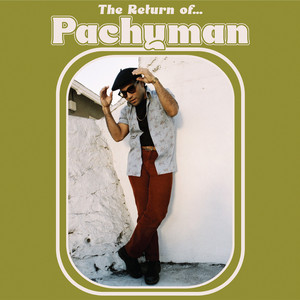 Destroy The Empire - Pachyman | Song Album Cover Artwork