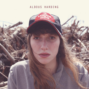 Stop Your Tears - Aldous Harding | Song Album Cover Artwork