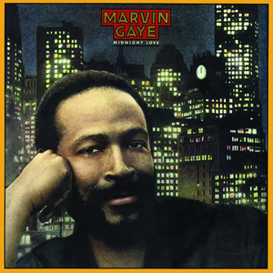 Sexual Healing - Marvin Gaye | Song Album Cover Artwork