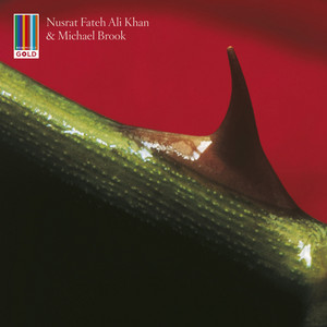 Night Song - Nusrat Fateh Ali Khan & Michael Brook