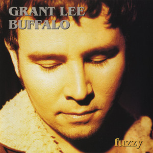 The Hook - Grant Lee Buffalo | Song Album Cover Artwork