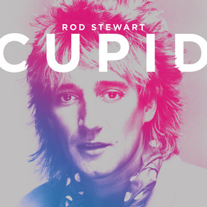 Faith of the Heart - Rod Stewart | Song Album Cover Artwork