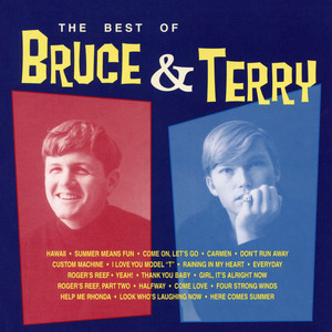 Summer Means Fun Bruce & Terry | Album Cover