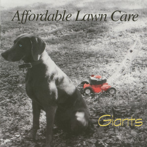 Time Passes By - Affordable Lawn Care | Song Album Cover Artwork