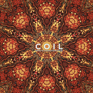 Who'll Tell - Coil | Song Album Cover Artwork
