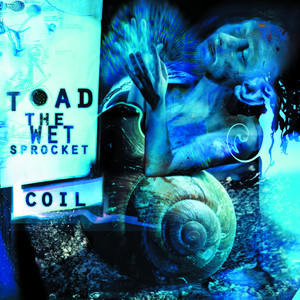 Come Down - Toad The Wet Sprocket | Song Album Cover Artwork