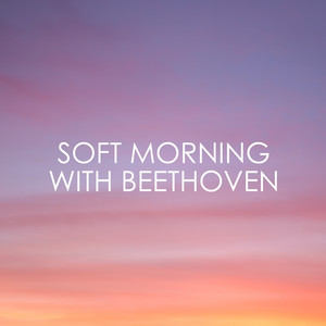 Piano Concerto No. 2 in B-Flat Major, Op. 19: III. Rondo: Molto allegro - Ludwig van Beethoven | Song Album Cover Artwork
