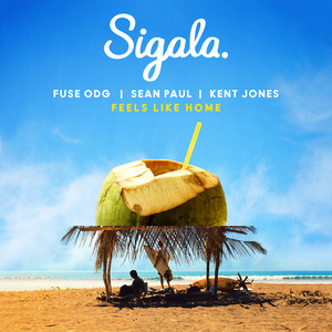 Feels Like Home (feat. Kent Jones) - Sigala | Song Album Cover Artwork