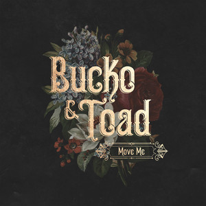 Run - Bucko & Toad | Song Album Cover Artwork