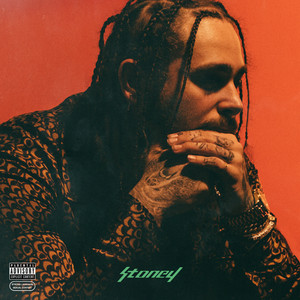 Patient - Post Malone | Song Album Cover Artwork